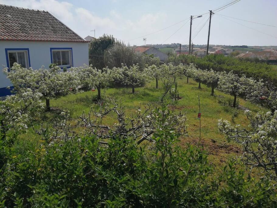 Casa Da Ti' Milia Βίλα Encarnacao Εξωτερικό φωτογραφία