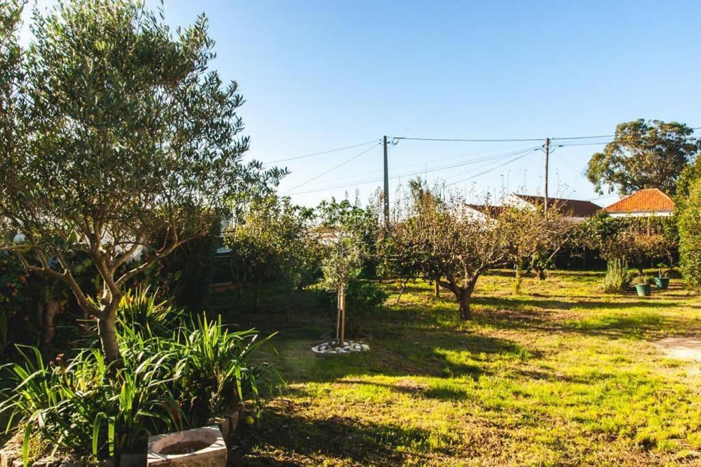 Casa Da Ti' Milia Βίλα Encarnacao Εξωτερικό φωτογραφία